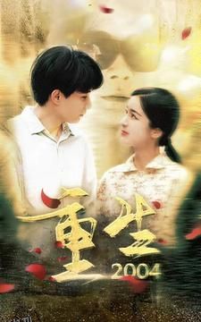重生2004 短剧版 海报