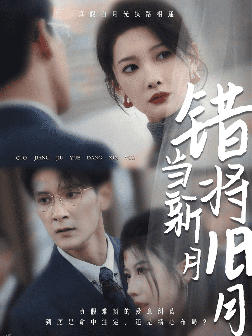 错将旧月当新月 海报