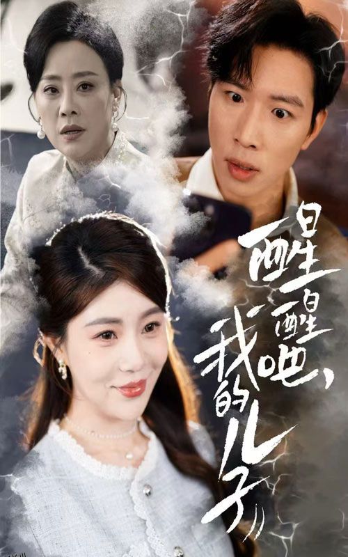 醒醒吧，我的儿子 海报