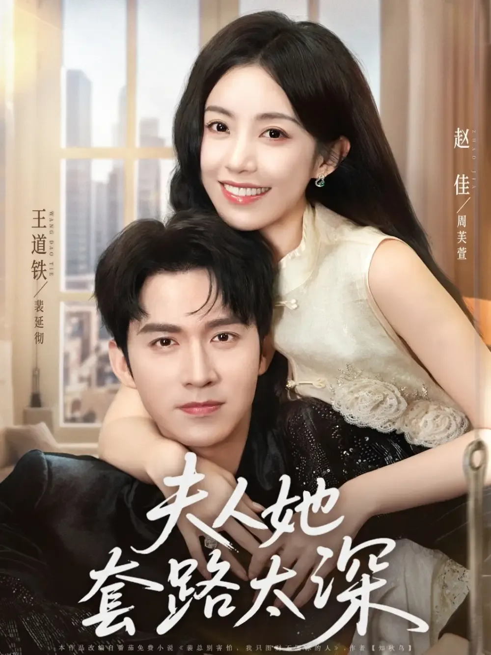 夫人她套路太深 海报