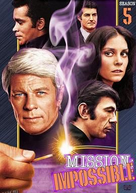 虎胆妙算第五季 海报