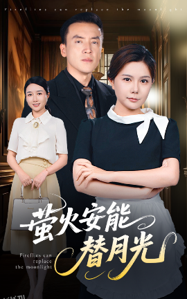 莹火安能替月光 海报