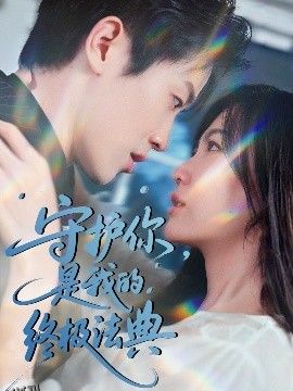 守护你，是我的终极法典 海报