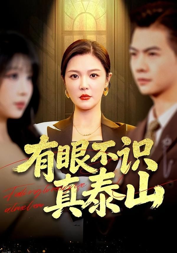 有眼不识真泰山 海报