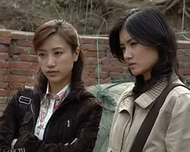 我的刑警朋友 海报