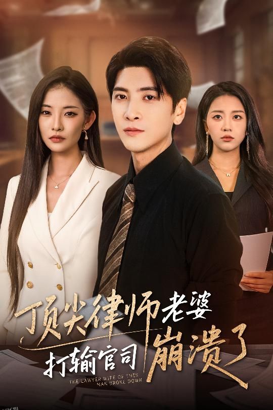 顶尖律师老婆打输官司崩溃了 海报