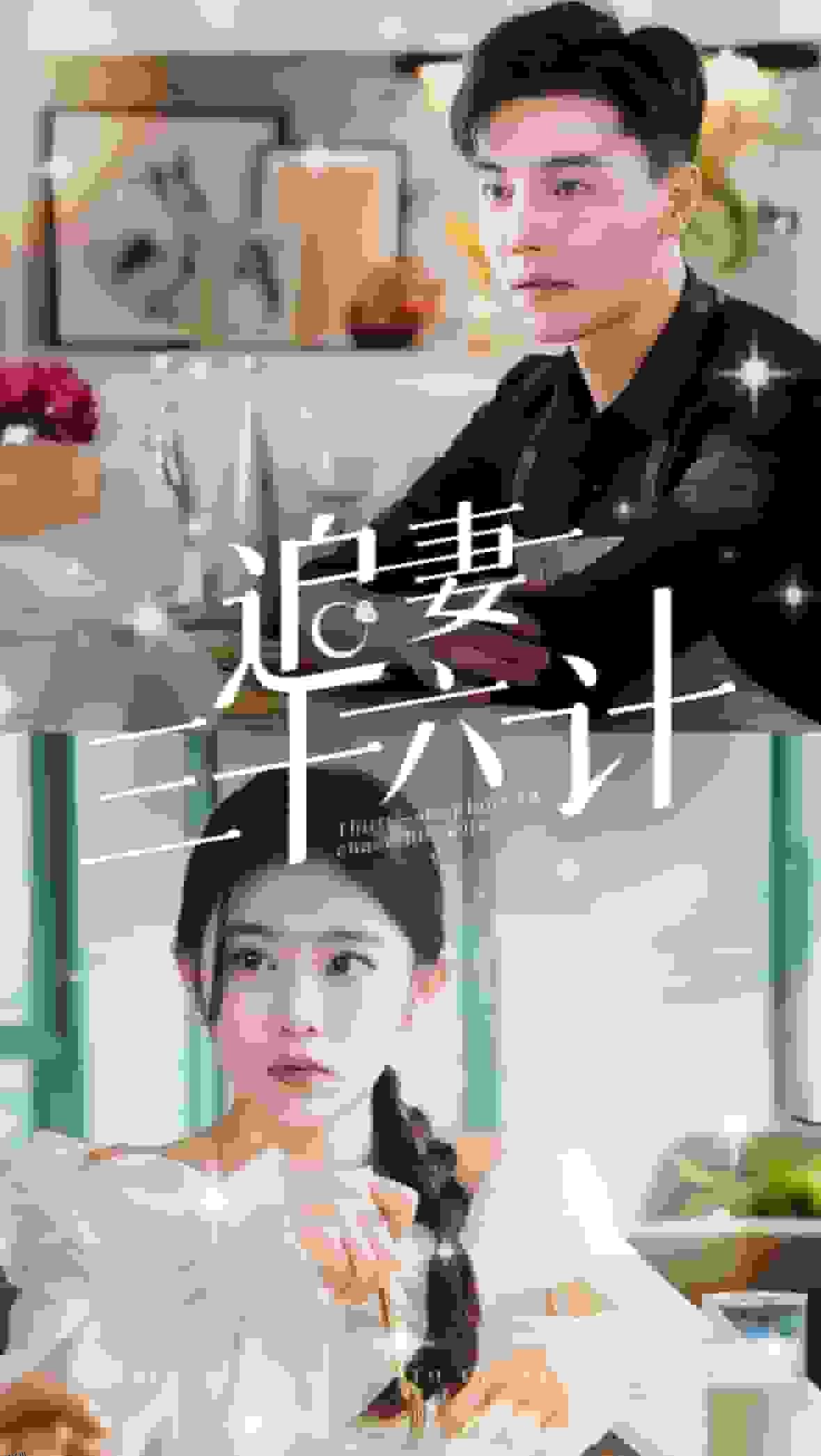 追妻三十六计 海报