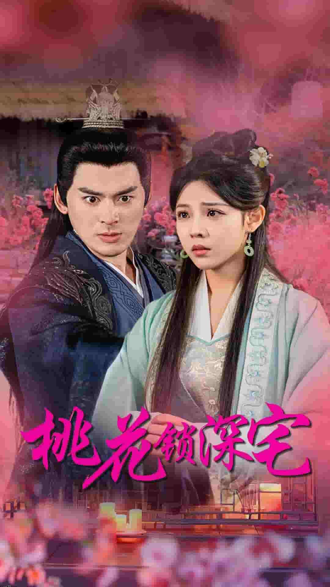 桃花锁深宅 海报