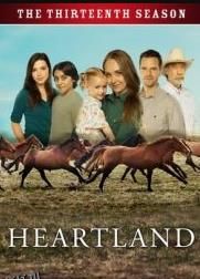 心灵之地第十三季 海报