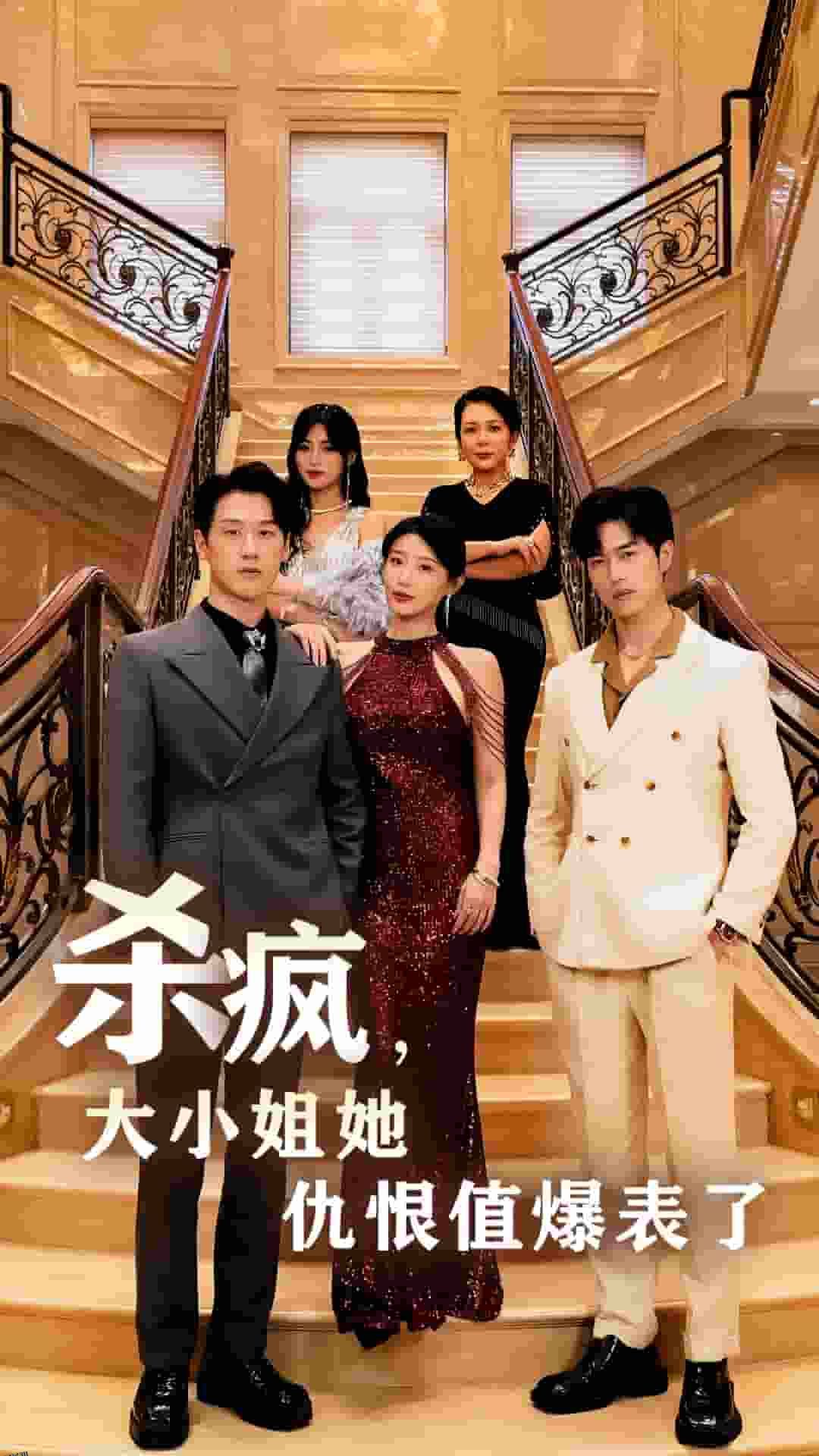 杀疯，大小姐她仇恨值爆表了 海报