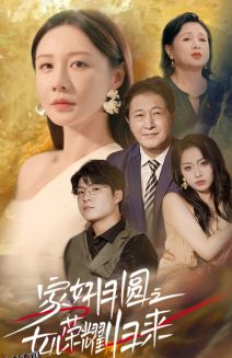 家好月圆之女儿荣耀归来 海报