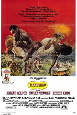 曼丁戈 海报