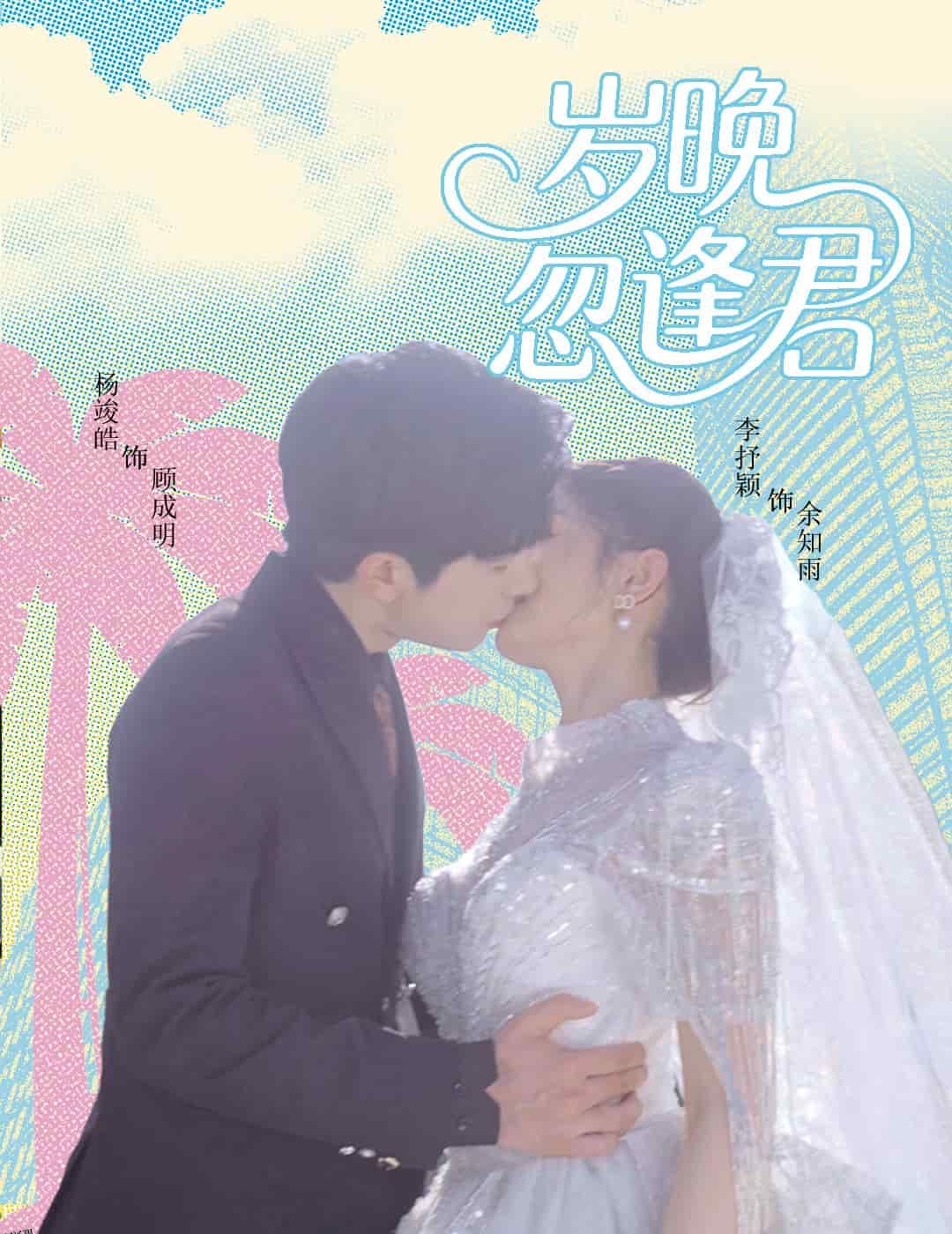 岁晚忽逢君 海报