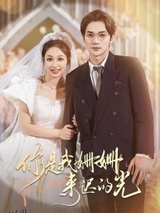 你是我姗姗来迟的光 海报