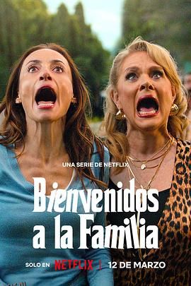 另类一家人 海报