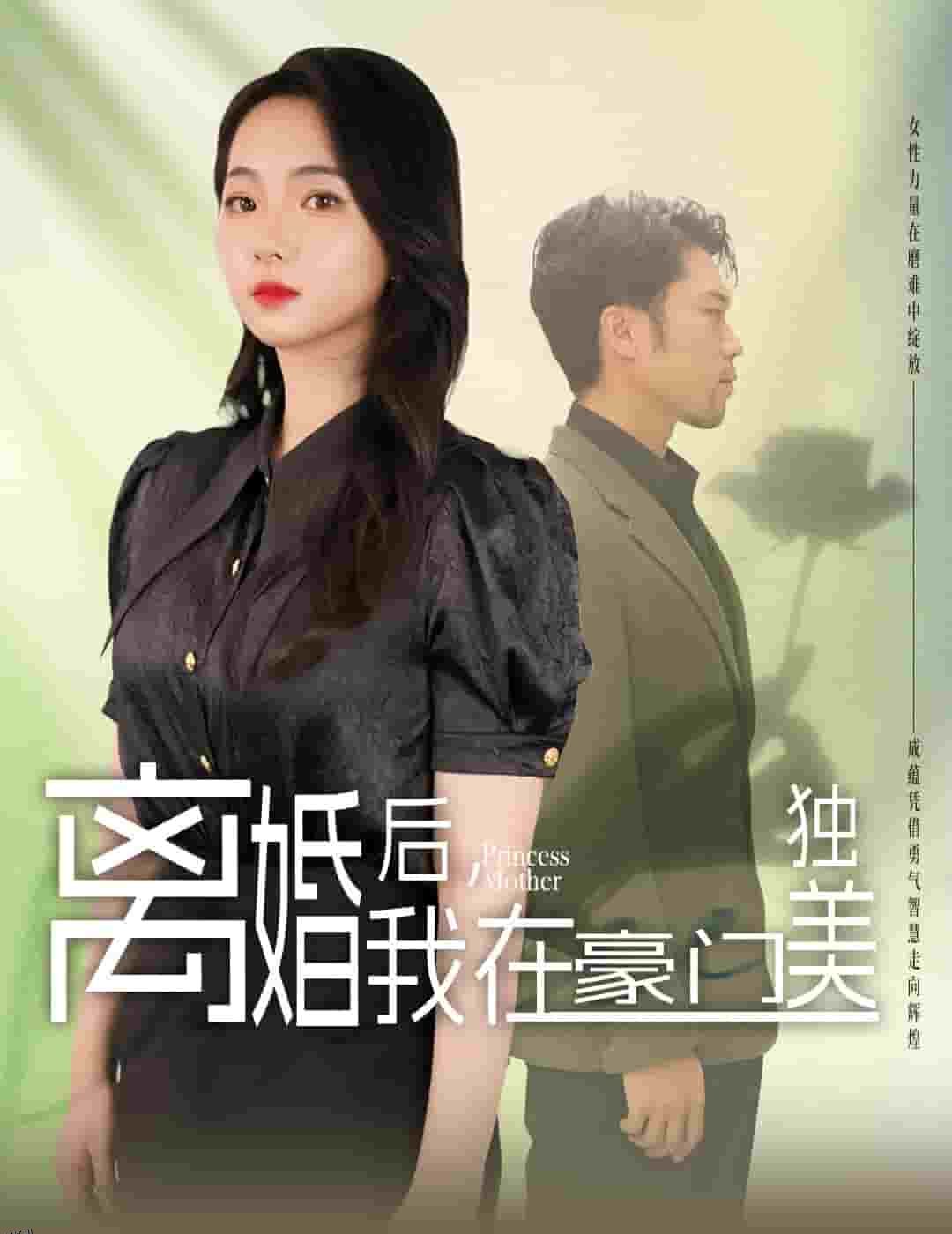 离婚后，我在豪门独美 海报