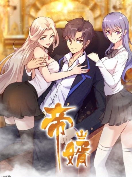 帝婿动态漫画 海报