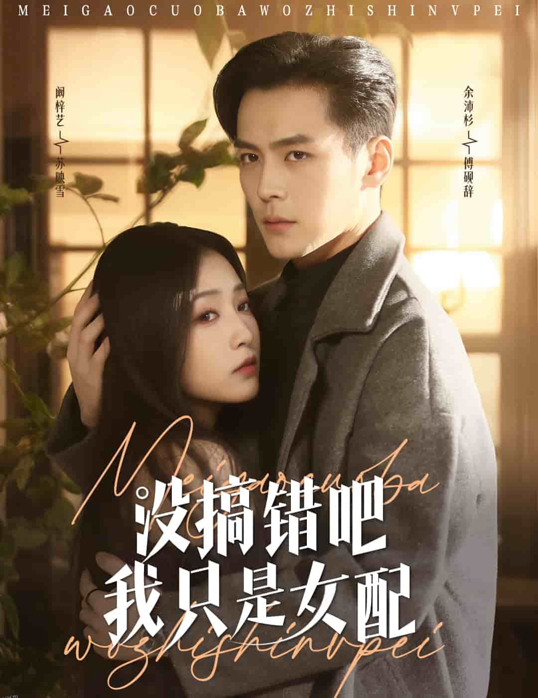 没搞错吧我只是女配 海报