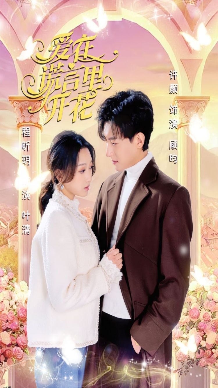 爱在谎言里开花 海报