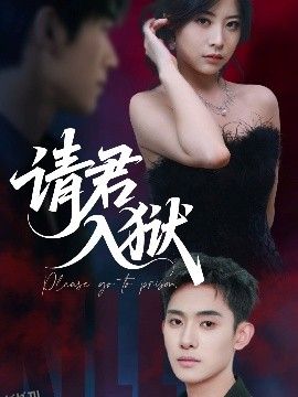 请君入狱 海报
