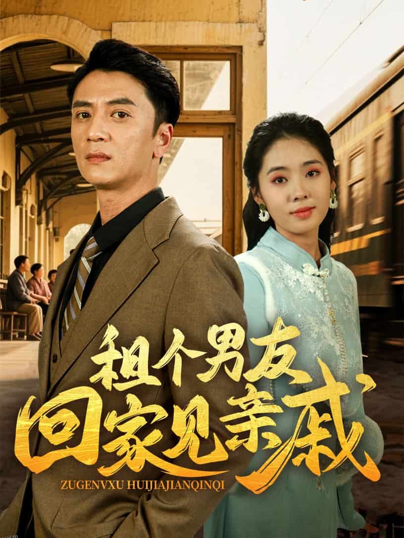 租个男友回家见亲戚 海报