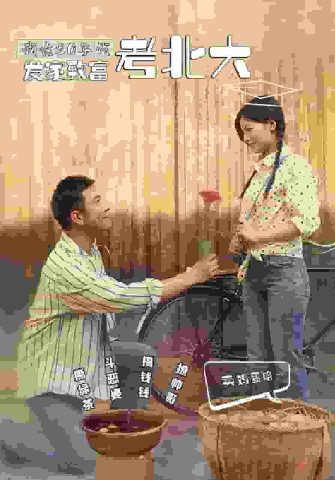 我在80年代发家致富考北大 海报