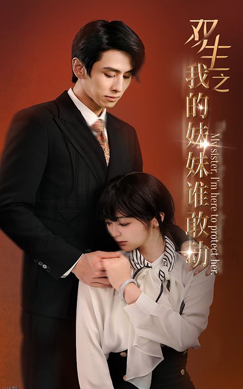 双生之我的妹妹谁敢动 海报