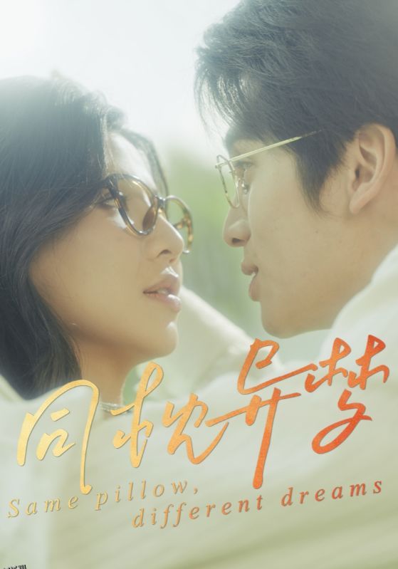 同枕异梦 海报