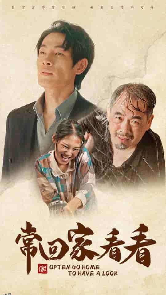 常回家看看 短剧版 海报