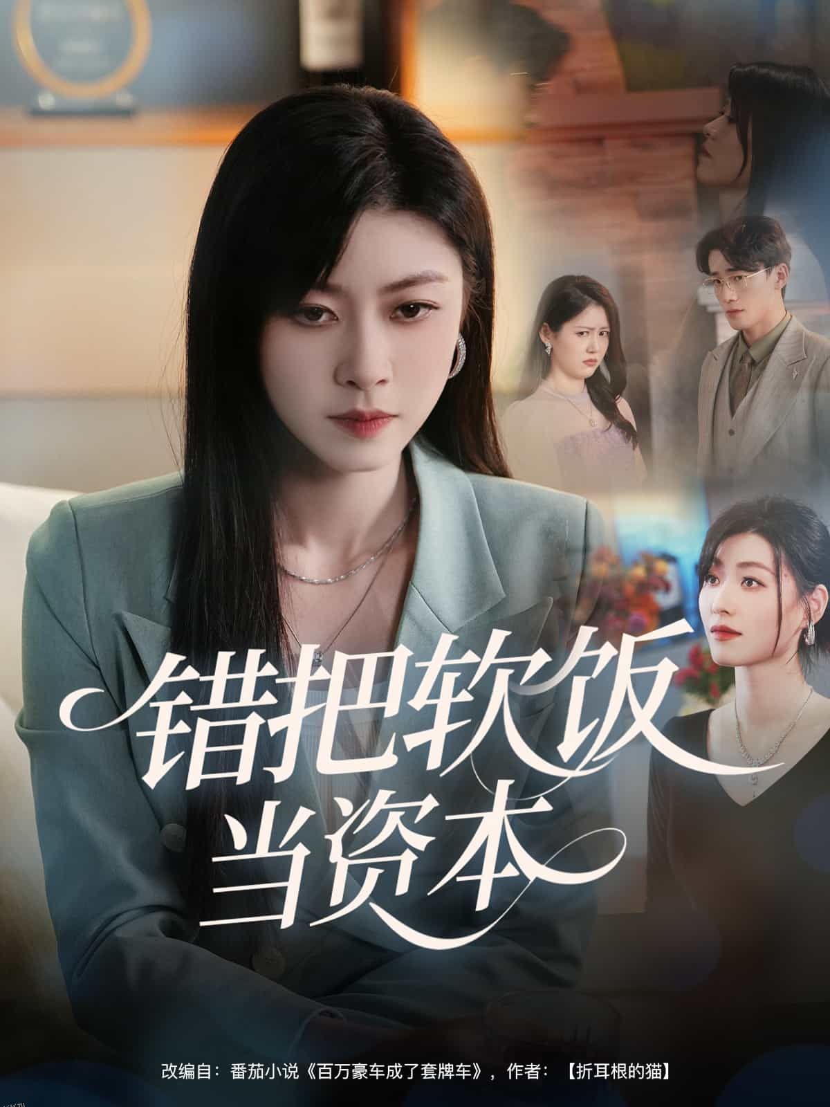 错把软饭当资本 海报