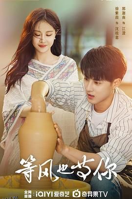 等风也等你 海报