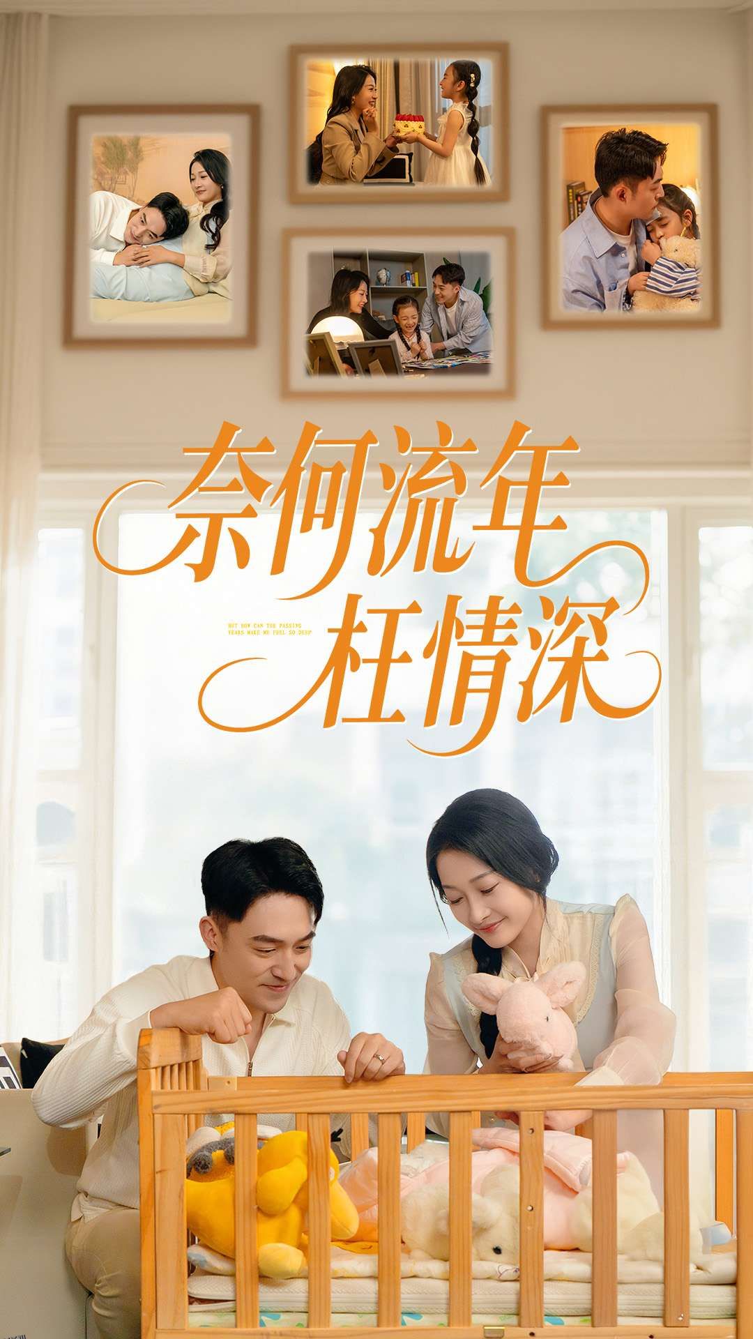 奈何流年枉情深 海报