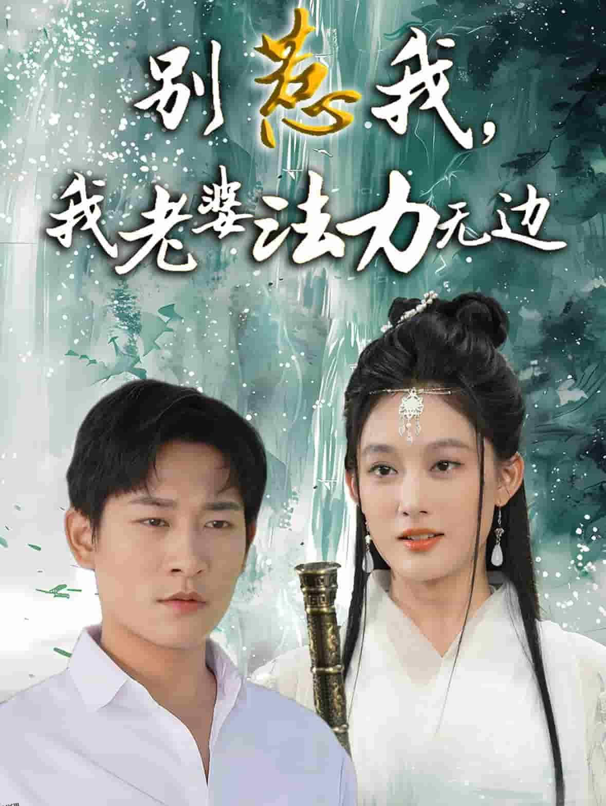 别惹我，我老婆法力无边 海报