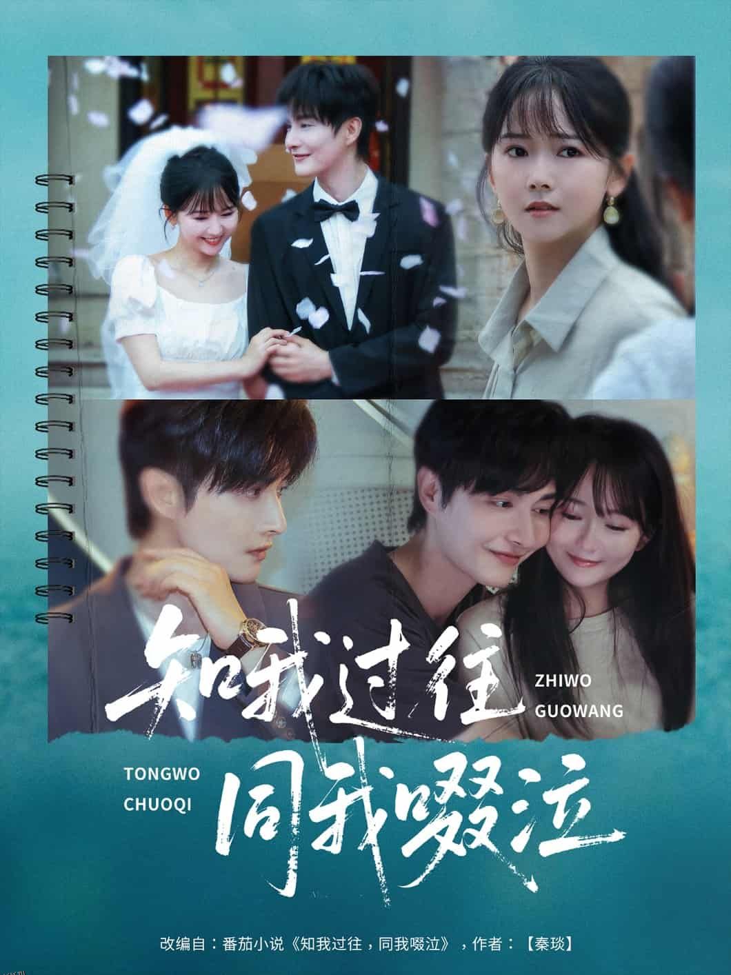 知我过往同我啜泣 海报