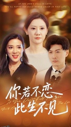 你若不恋此生不见 海报