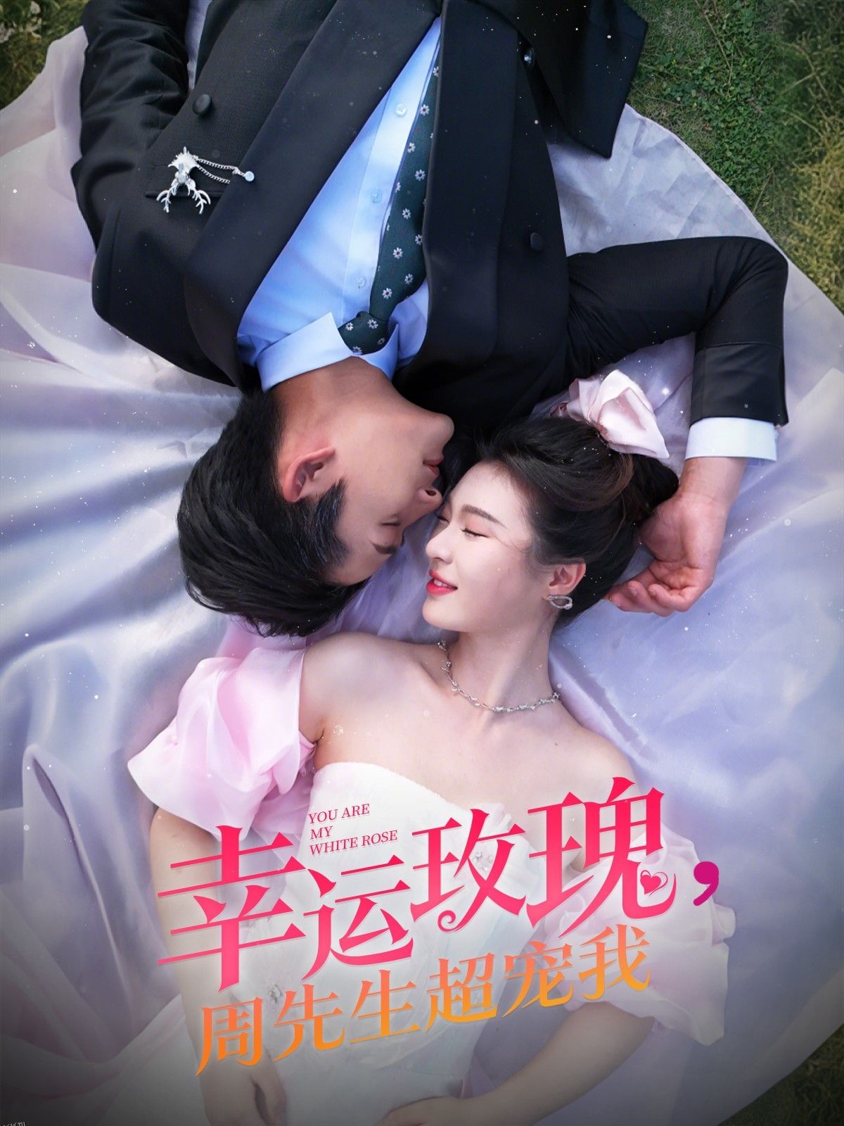 幸运玫瑰，周先生超宠我 海报