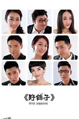 野鸽子 海报