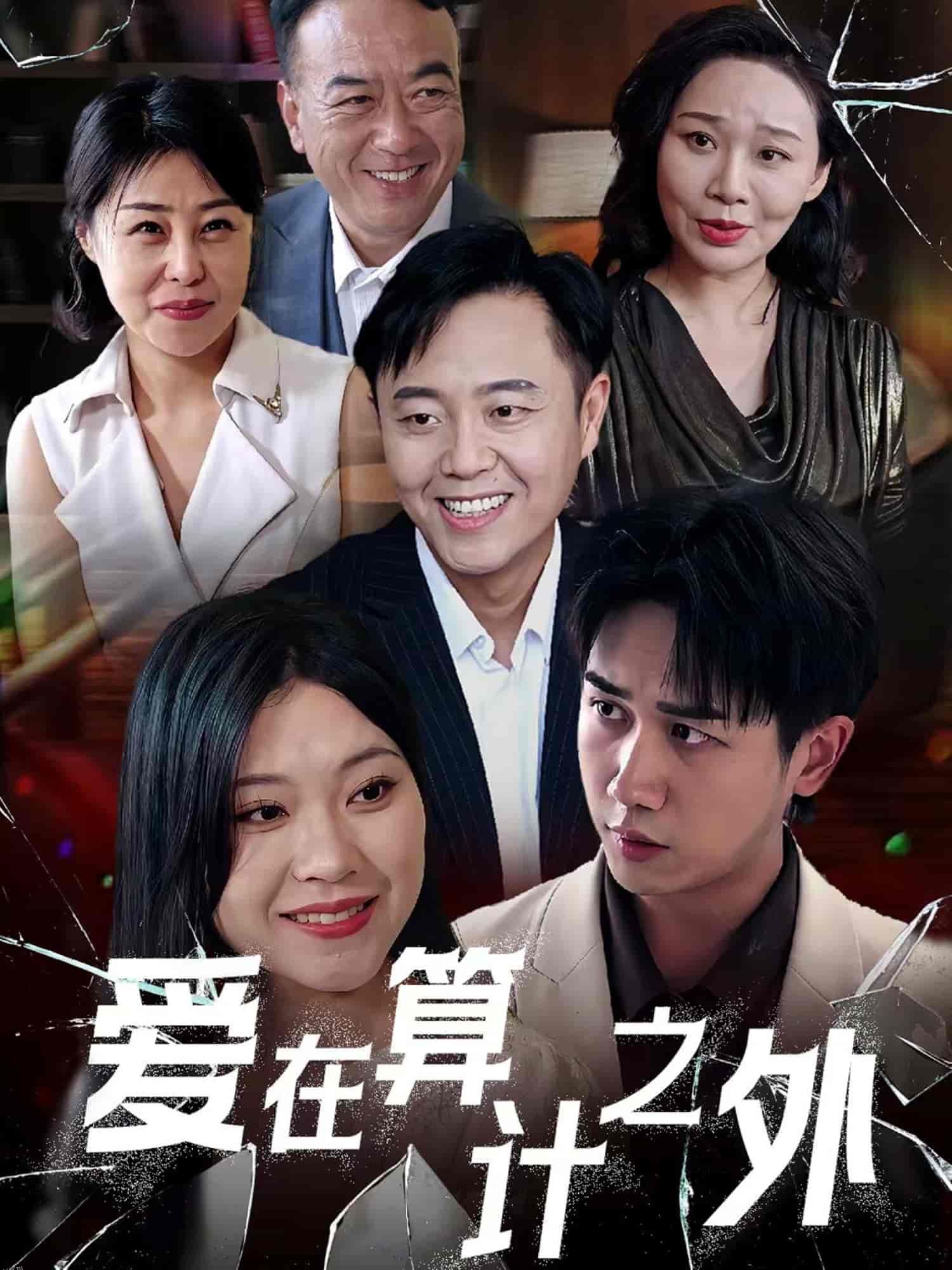 爱在算计之外 海报
