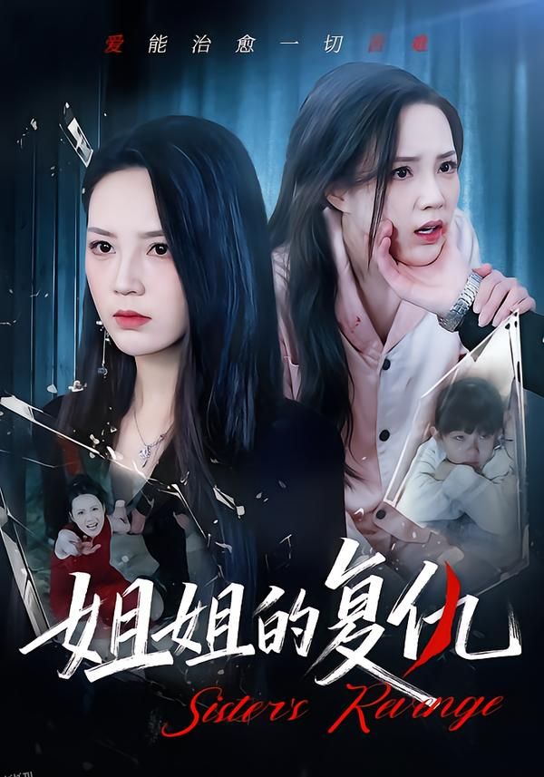姐姐的复仇 海报