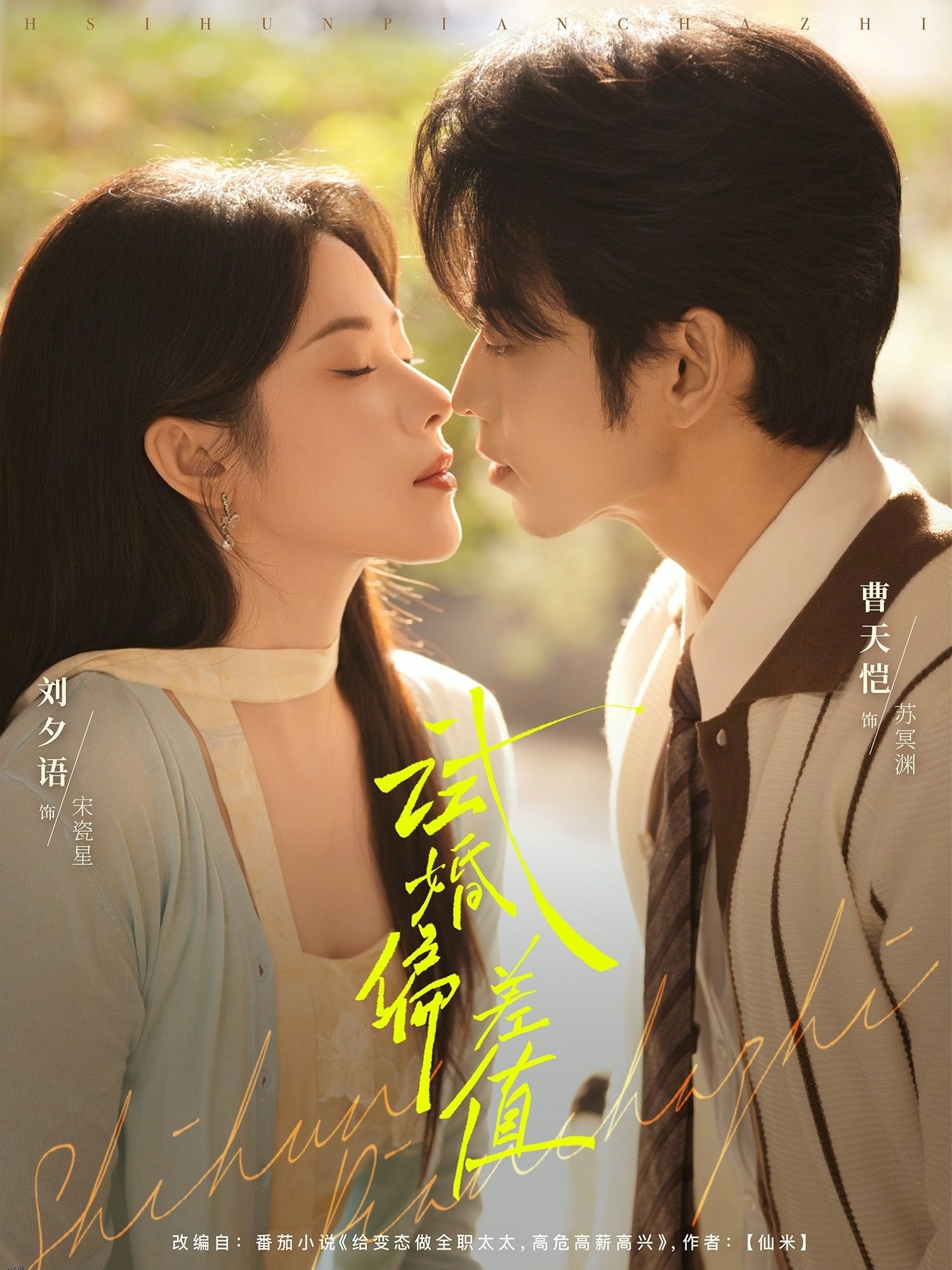 试婚偏差值 海报