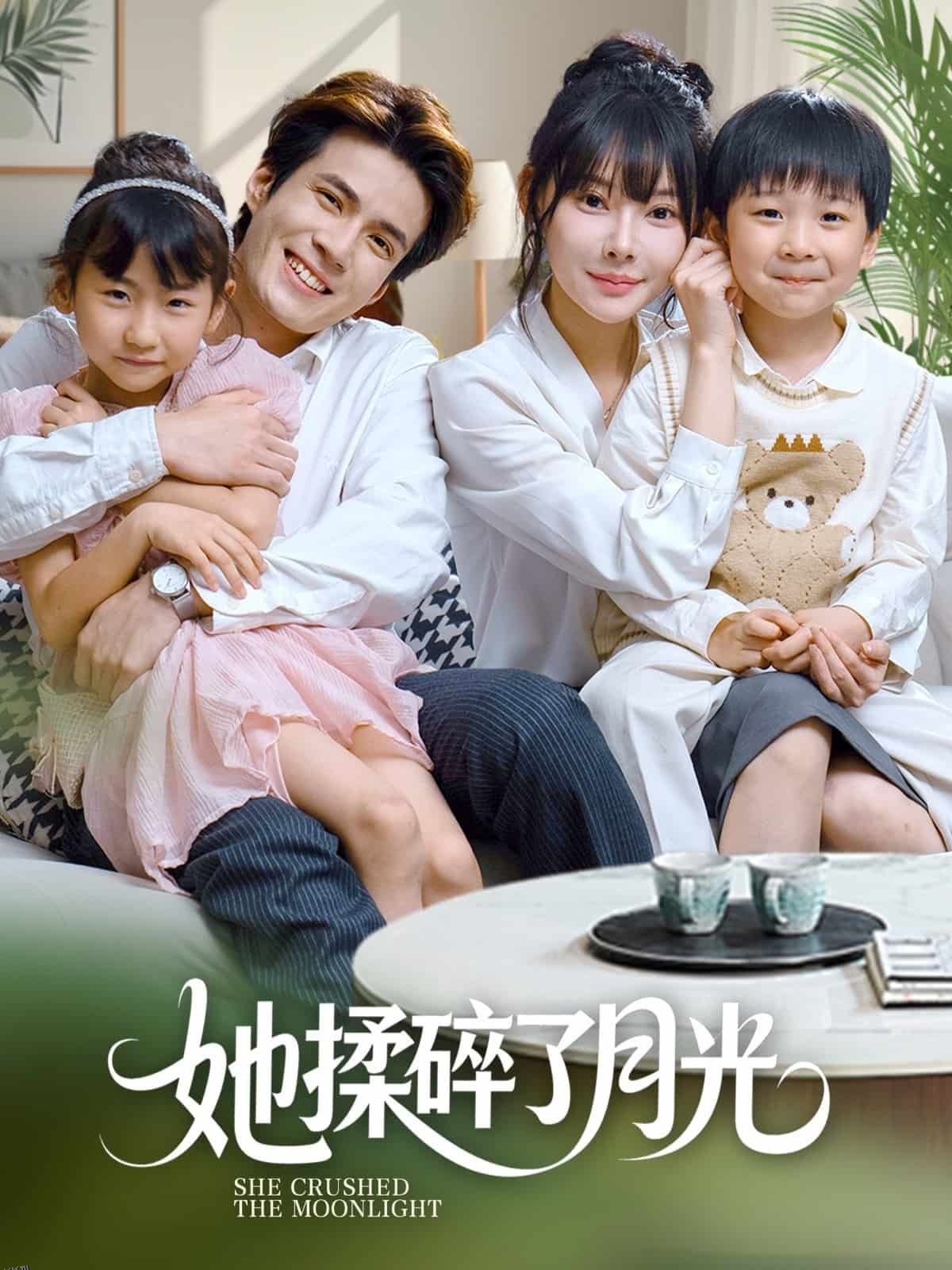 她揉碎了月光 海报