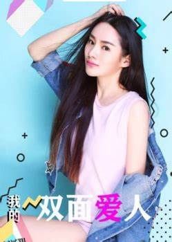 我的双面爱人 海报