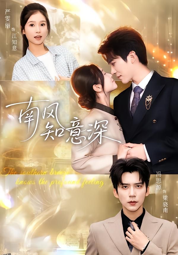 南风知意深 海报