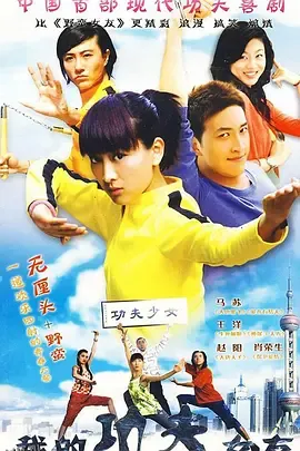 我的功夫女友 海报