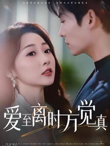 爱至离时方觉真 海报