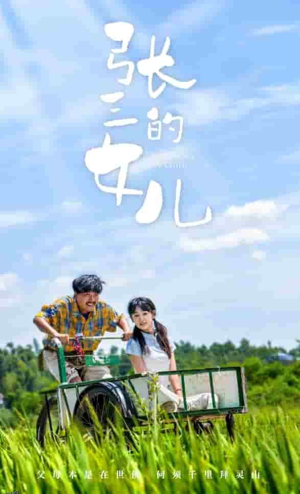 张三的女儿 海报