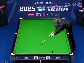 斯诺克玉山世界公开赛16进8 大卫·利利1-5阿里·卡特  20250226 海报