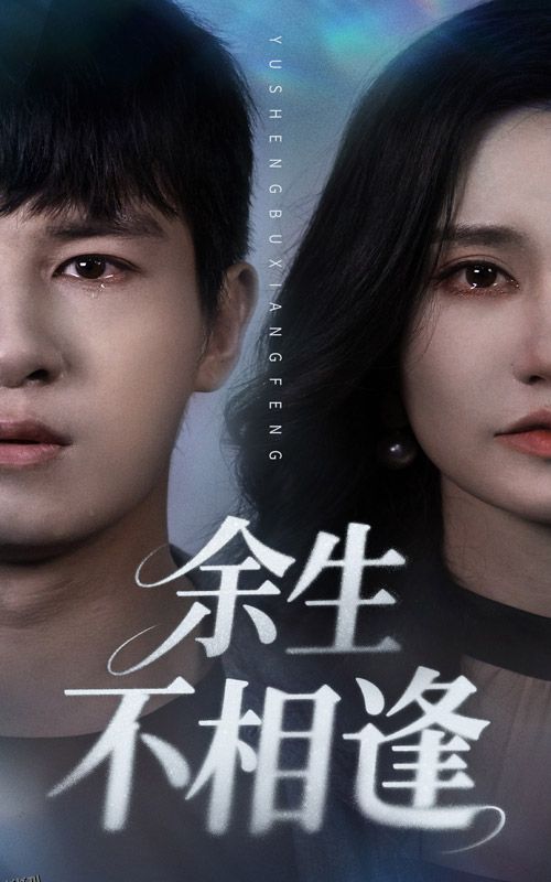 余生不相逢 海报