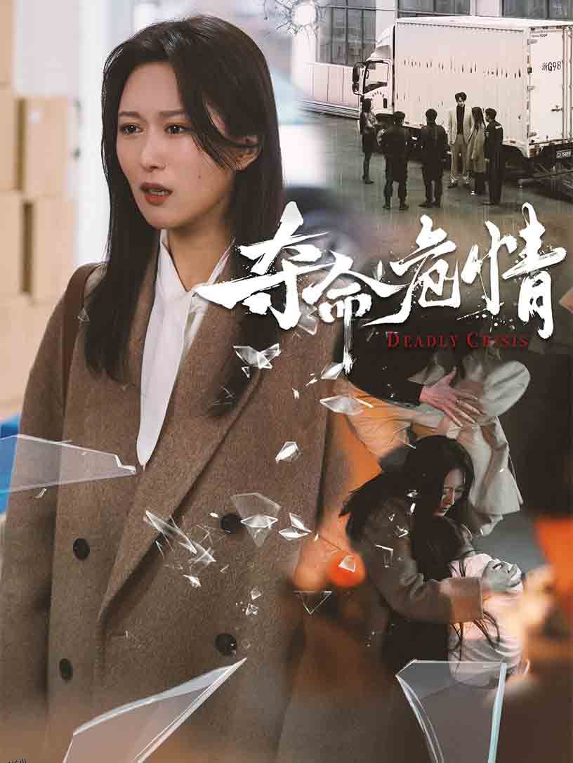 夺命危情 海报