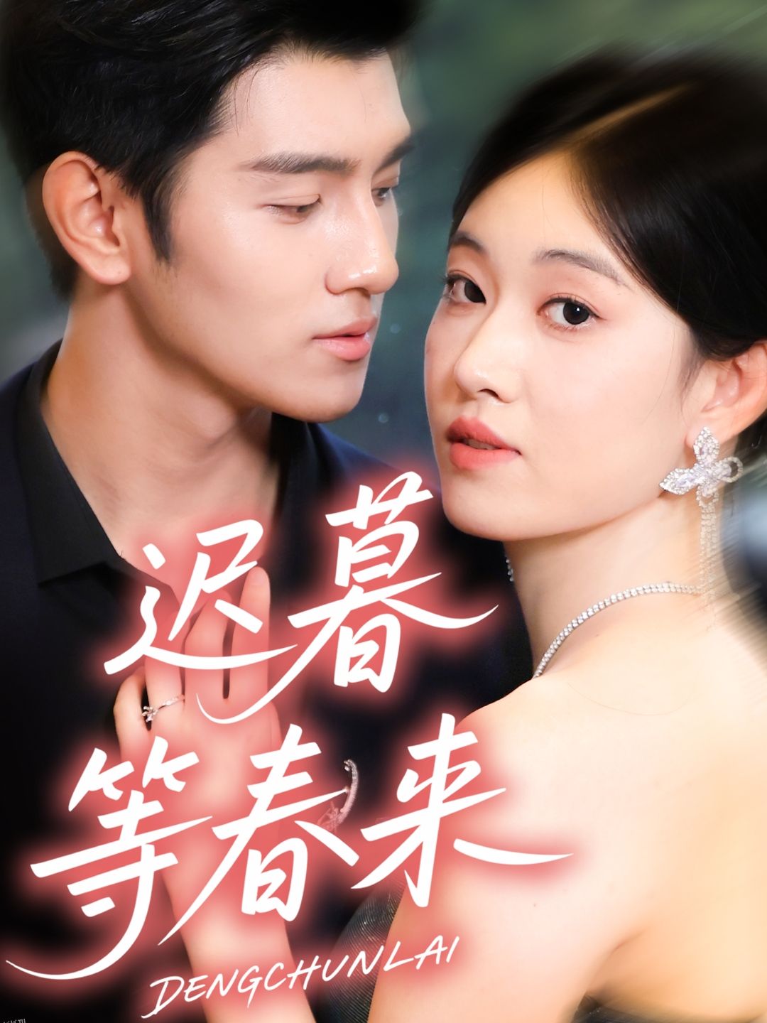 迟暮等春来 海报